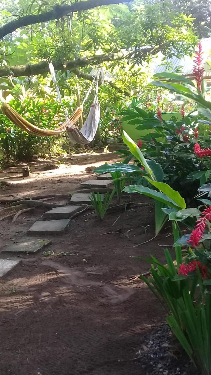 Casa Chilamates 托尔图格罗 外观 照片